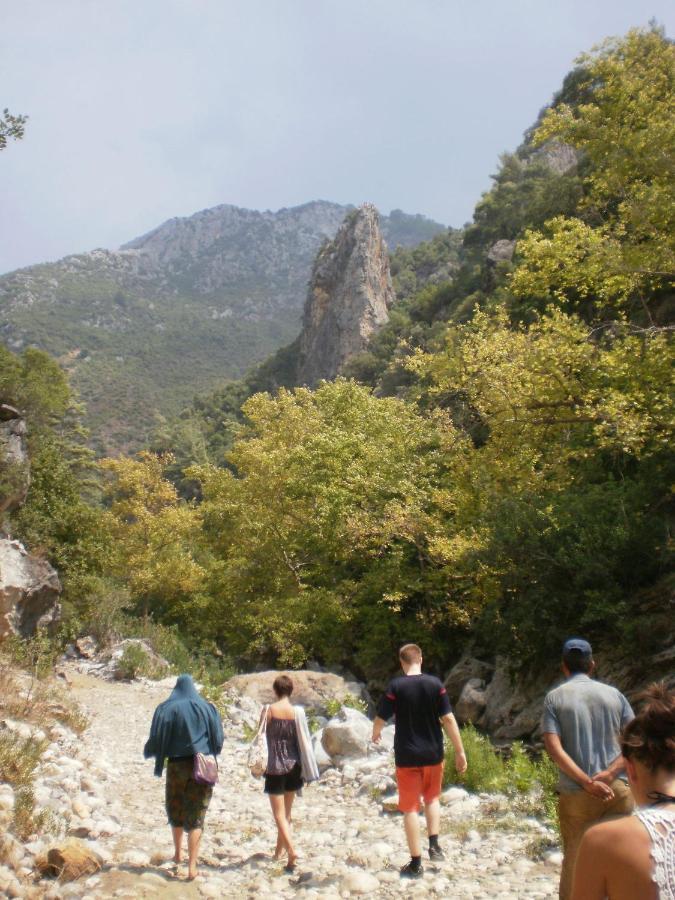 Zeytinada Pansiyon Ve Goezleme Guneykoy Esterno foto
